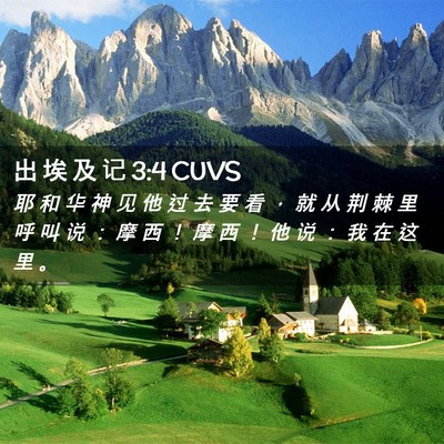 Picture 02 - 出 埃 及 记 3:4 CUVS - 耶 和 华 神 见 他 过 去 要 看 ， 就 - Bible Verse Picture