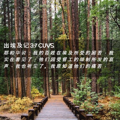 Picture 02 - 出 埃 及 记 3:7 CUVS - 耶 和 华 说 ： 我 的 百 姓 在 埃 及 - Bible Verse Picture