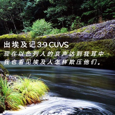 Picture 02 - 出 埃 及 记 3:9 CUVS - 现 在 以 色 列 人 的 哀 声 达 到 我 - Bible Verse Picture