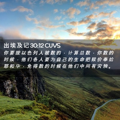 Picture 02 - 出 埃 及 记 30:12 CUVS - 你 要 按 以 色 列 人 被 数 的 ， 计 - Bible Verse Picture