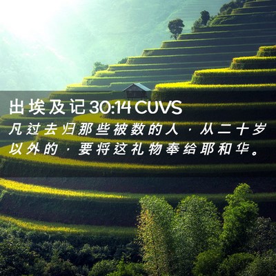 Picture 02 - 出 埃 及 记 30:14 CUVS - 凡 过 去 归 那 些 被 数 的 人 ， 从 - Bible Verse Picture