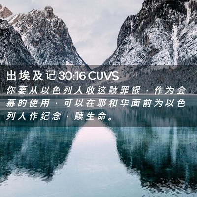 Picture 02 - 出 埃 及 记 30:16 CUVS - 你 要 从 以 色 列 人 收 这 赎 罪 银 - Bible Verse Picture