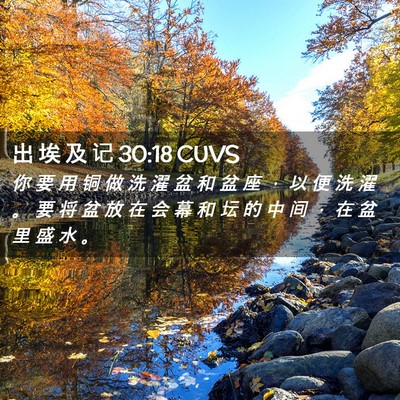 Picture 02 - 出 埃 及 记 30:18 CUVS - 你 要 用 铜 做 洗 濯 盆 和 盆 座 ， - Bible Verse Picture