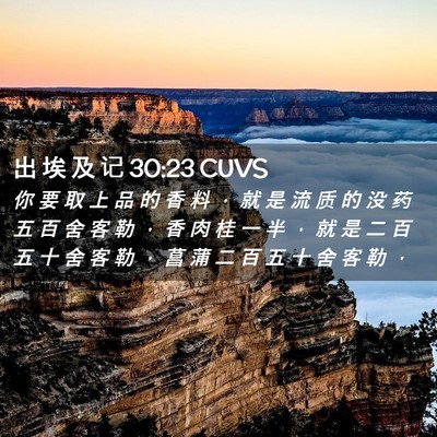 Picture 02 - 出 埃 及 记 30:23 CUVS - 你 要 取 上 品 的 香 料 ， 就 是 流 - Bible Verse Picture