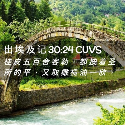 Picture 02 - 出 埃 及 记 30:24 CUVS - 桂 皮 五 百 舍 客 勒 ， 都 按 着 圣 - Bible Verse Picture