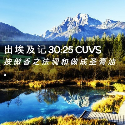 Picture 02 - 出 埃 及 记 30:25 CUVS - 按 做 香 之 法 调 和 做 成 圣 膏 油 - Bible Verse Picture