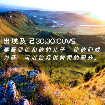 Picture 02 - 出 埃 及 记 30:30 CUVS - 要 膏 亚 伦 和 他 的 儿 子 ， 使 他 - Bible Verse Picture