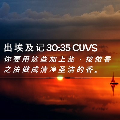 Picture 02 - 出 埃 及 记 30:35 CUVS - 你 要 用 这 些 加 上 盐 ， 按 做 香 - Bible Verse Picture