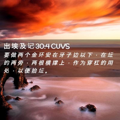 Picture 02 - 出 埃 及 记 30:4 CUVS - 要 做 两 个 金 环 安 在 牙 子 边 以 - Bible Verse Picture
