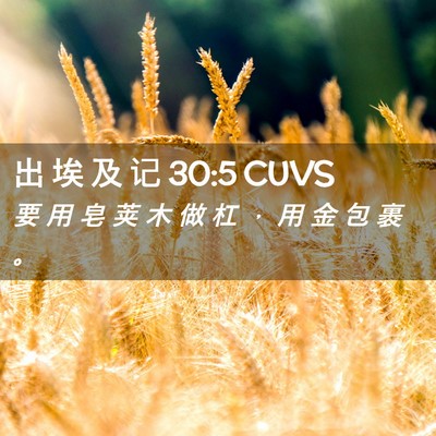 Picture 02 - 出 埃 及 记 30:5 CUVS - 要 用 皂 荚 木 做 杠 ， 用 金 包 裹 - Bible Verse Picture