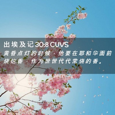 Picture 02 - 出 埃 及 记 30:8 CUVS - 黄 昏 点 灯 的 时 候 ， 他 要 在 耶 - Bible Verse Picture