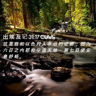 Picture 02 - 出 埃 及 记 31:17 CUVS - 这 是 我 和 以 色 列 人 永 远 的 证 - Bible Verse Picture