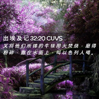 Picture 02 - 出 埃 及 记 32:20 CUVS - 又 将 他 们 所 铸 的 牛 犊 用 火 焚 - Bible Verse Picture