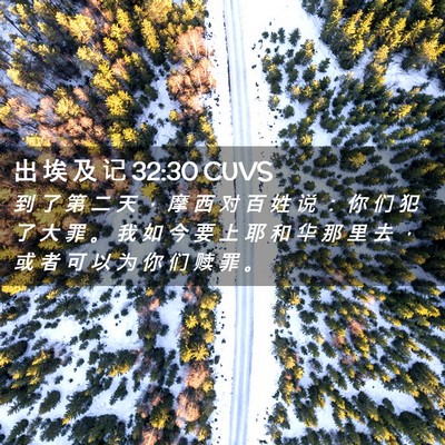 Picture 02 - 出 埃 及 记 32:30 CUVS - 到 了 第 二 天 ， 摩 西 对 百 姓 说 - Bible Verse Picture