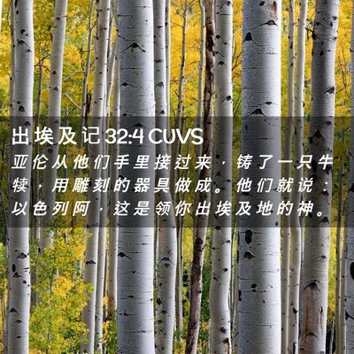 Picture 02 - 出 埃 及 记 32:4 CUVS - 亚 伦 从 他 们 手 里 接 过 来 ， 铸 - Bible Verse Picture