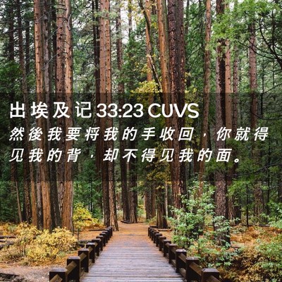 Picture 02 - 出 埃 及 记 33:23 CUVS - 然 後 我 要 将 我 的 手 收 回 ， 你 - Bible Verse Picture