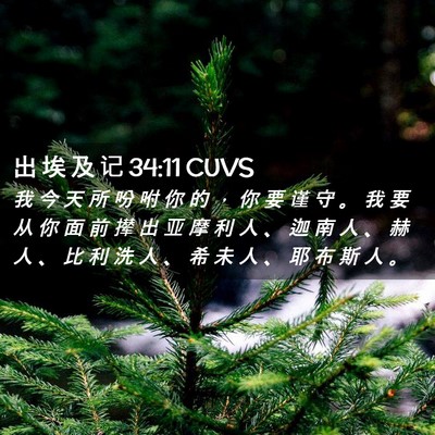 Picture 02 - 出 埃 及 记 34:11 CUVS - 我 今 天 所 吩 咐 你 的 ， 你 要 谨 - Bible Verse Picture