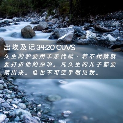 Picture 02 - 出 埃 及 记 34:20 CUVS - 头 生 的 驴 要 用 羊 羔 代 赎 ， 若 - Bible Verse Picture