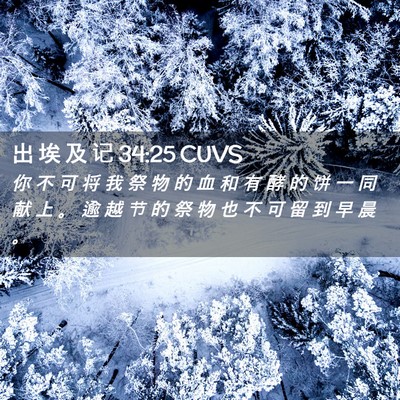 Picture 02 - 出 埃 及 记 34:25 CUVS - 你 不 可 将 我 祭 物 的 血 和 有 酵 - Bible Verse Picture