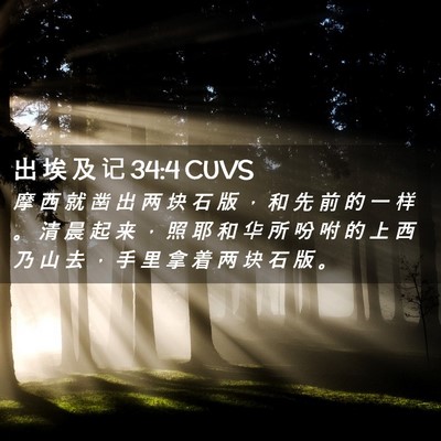 Picture 02 - 出 埃 及 记 34:4 CUVS - 摩 西 就 凿 出 两 块 石 版 ， 和 先 - Bible Verse Picture