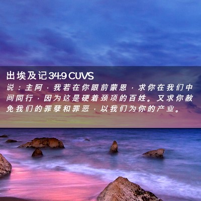 Picture 02 - 出 埃 及 记 34:9 CUVS - 说 ： 主 阿 ， 我 若 在 你 眼 前 蒙 - Bible Verse Picture