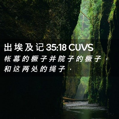 Picture 02 - 出 埃 及 记 35:18 CUVS - 帐 幕 的 橛 子 并 院 子 的 橛 子 ， - Bible Verse Picture
