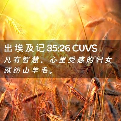 Picture 02 - 出 埃 及 记 35:26 CUVS - 凡 有 智 慧 、 心 里 受 感 的 妇 女 - Bible Verse Picture