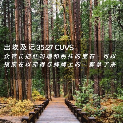 Picture 02 - 出 埃 及 记 35:27 CUVS - 众 官 长 把 红 玛 瑙 和 别 样 的 宝 - Bible Verse Picture