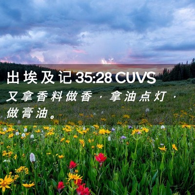 Picture 02 - 出 埃 及 记 35:28 CUVS - 又 拿 香 料 做 香 ， 拿 油 点 灯 ， - Bible Verse Picture