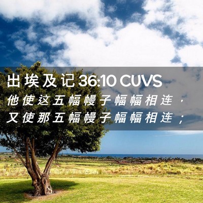 Picture 02 - 出 埃 及 记 36:10 CUVS - 他 使 这 五 幅 幔 子 幅 幅 相 连 ， - Bible Verse Picture