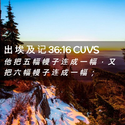 Picture 02 - 出 埃 及 记 36:16 CUVS - 他 把 五 幅 幔 子 连 成 一 幅 ， 又 - Bible Verse Picture