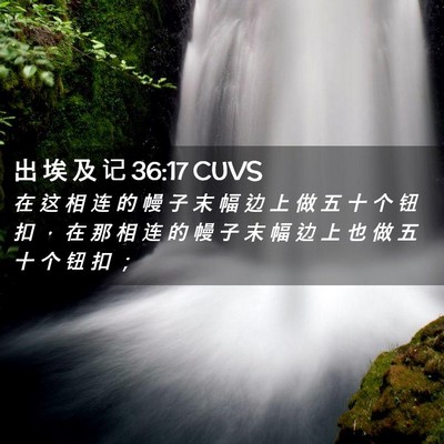Picture 02 - 出 埃 及 记 36:17 CUVS - 在 这 相 连 的 幔 子 末 幅 边 上 做 - Bible Verse Picture