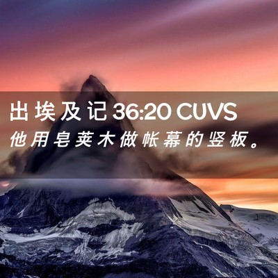 Picture 02 - 出 埃 及 记 36:20 CUVS - 他 用 皂 荚 木 做 帐 幕 的 竖 板 - Bible Verse Picture