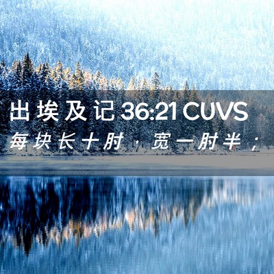 Picture 02 - 出 埃 及 记 36:21 CUVS - 每 块 长 十 肘 ， 宽 一 肘 半 - Bible Verse Picture