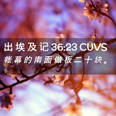 Picture 02 - 出 埃 及 记 36:23 CUVS - 帐 幕 的 南 面 做 板 二 十 块 - Bible Verse Picture