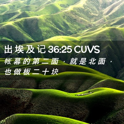 Picture 02 - 出 埃 及 记 36:25 CUVS - 帐 幕 的 第 二 面 ， 就 是 北 面 ， - Bible Verse Picture