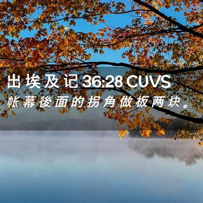 Picture 02 - 出 埃 及 记 36:28 CUVS - 帐 幕 後 面 的 拐 角 做 板 两 块 - Bible Verse Picture