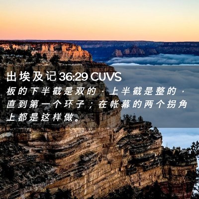 Picture 02 - 出 埃 及 记 36:29 CUVS - 板 的 下 半 截 是 双 的 ， 上 半 截 - Bible Verse Picture