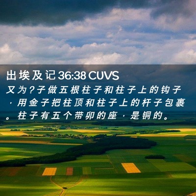Picture 02 - 出 埃 及 记 36:38 CUVS - 又 为 ? 子 做 五 根 柱 子 和 柱 子 上 - Bible Verse Picture