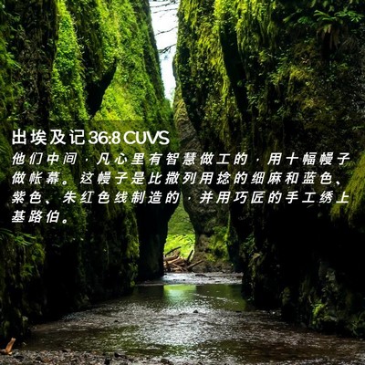 Picture 02 - 出 埃 及 记 36:8 CUVS - 他 们 中 间 ， 凡 心 里 有 智 慧 做 - Bible Verse Picture
