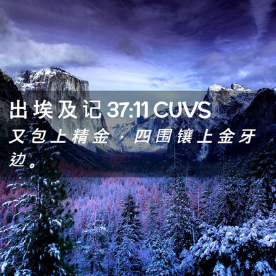 Picture 02 - 出 埃 及 记 37:11 CUVS - 又 包 上 精 金 ， 四 围 镶 上 金 牙 - Bible Verse Picture