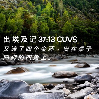 Picture 02 - 出 埃 及 记 37:13 CUVS - 又 铸 了 四 个 金 环 ， 安 在 桌 子 - Bible Verse Picture