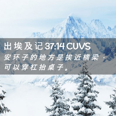 Picture 02 - 出 埃 及 记 37:14 CUVS - 安 环 子 的 地 方 是 挨 近 横 梁 ， - Bible Verse Picture
