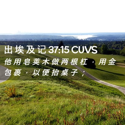 Picture 02 - 出 埃 及 记 37:15 CUVS - 他 用 皂 荚 木 做 两 根 杠 ， 用 金 - Bible Verse Picture