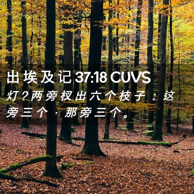 Picture 02 - 出 埃 及 记 37:18 CUVS - 灯 ? 两 旁 杈 出 六 个 枝 子 ： 这 旁 - Bible Verse Picture
