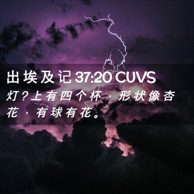 Picture 02 - 出 埃 及 记 37:20 CUVS - 灯 ? 上 有 四 个 杯 ， 形 状 像 杏 花 - Bible Verse Picture