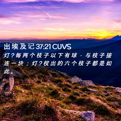 Picture 02 - 出 埃 及 记 37:21 CUVS - 灯 ? 每 两 个 枝 子 以 下 有 球 ， 与 - Bible Verse Picture