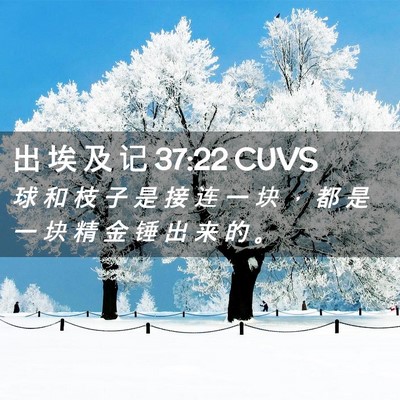 Picture 02 - 出 埃 及 记 37:22 CUVS - 球 和 枝 子 是 接 连 一 块 ， 都 是 - Bible Verse Picture