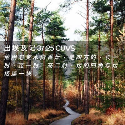 Picture 02 - 出 埃 及 记 37:25 CUVS - 他 用 皂 荚 木 做 香 坛 ， 是 四 方 - Bible Verse Picture