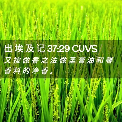 Picture 02 - 出 埃 及 记 37:29 CUVS - 又 按 做 香 之 法 做 圣 膏 油 和 馨 - Bible Verse Picture